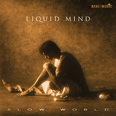 Slow World album cover
