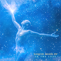 Artwork for Liquid Mind XV: In the Love