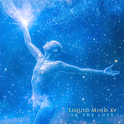 Cover art for Liquid Mind XV: In the Love