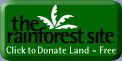 The Rainforest Site